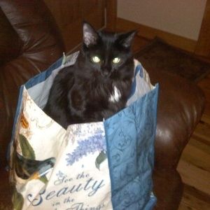 Meet your Posher, Beverly